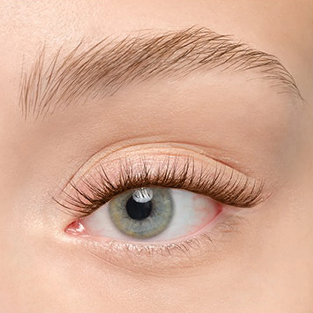 Product image 181