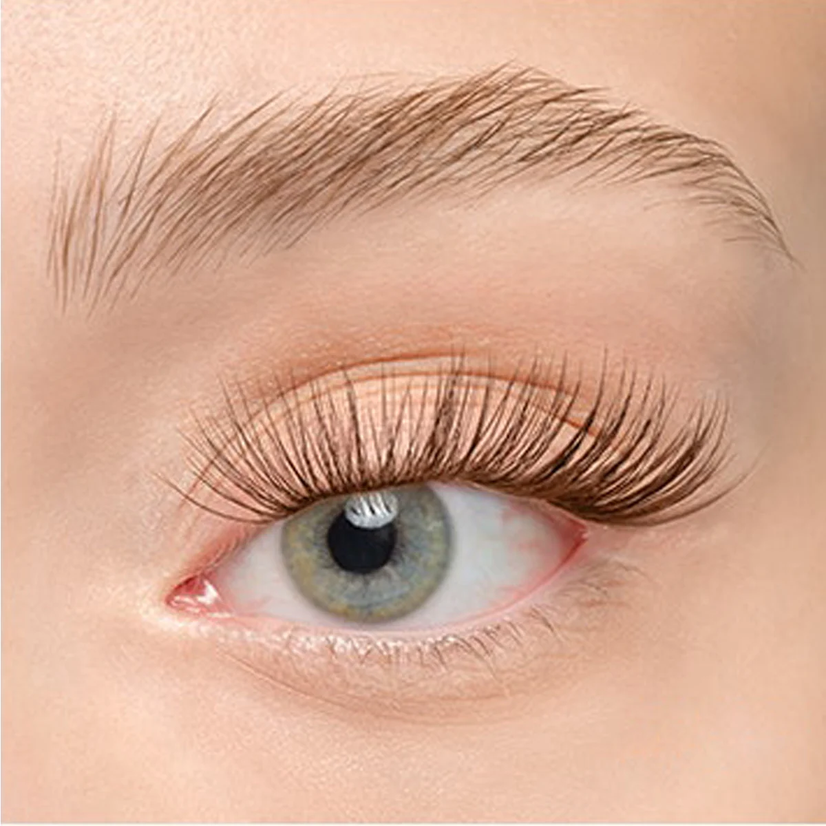 Product image 186