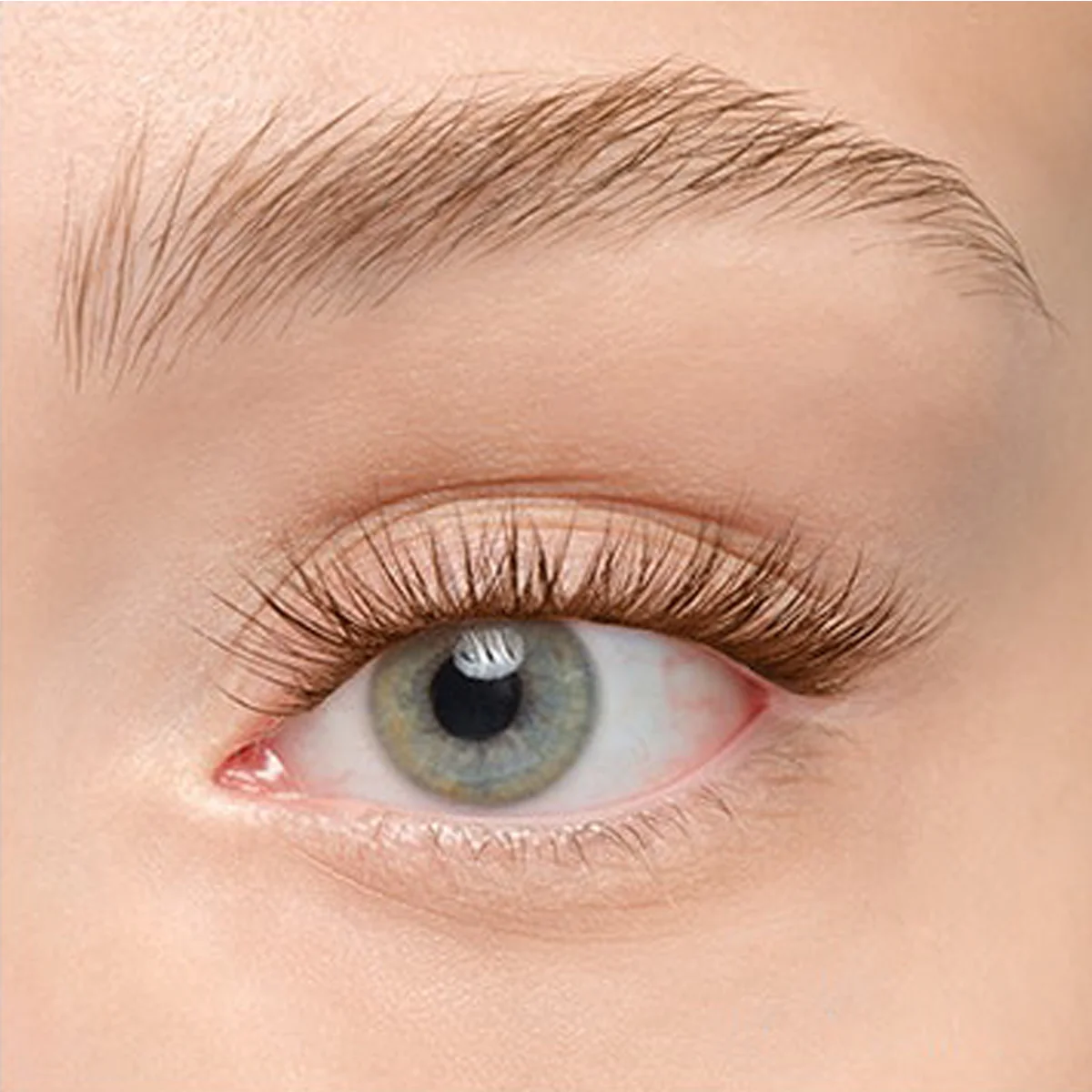 Product image 194